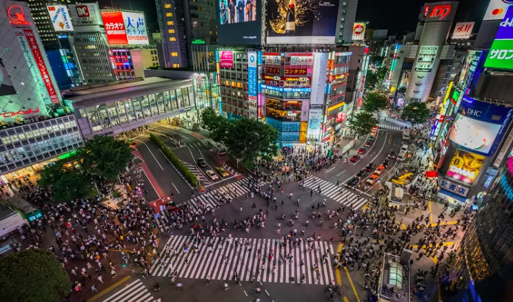 Lessons in Excellence That a Nikko Day Tour Teaches Every Entrepreneur